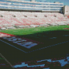 Camp Randall Diamond Painting