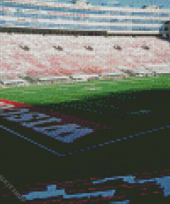 Camp Randall Diamond Painting