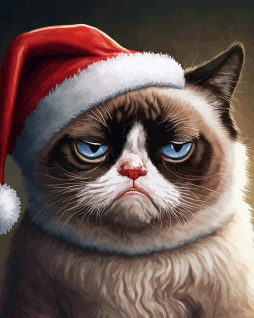 Christmas Grumpy Cat Diamond Painting