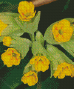 Cowslip Diamond Painting