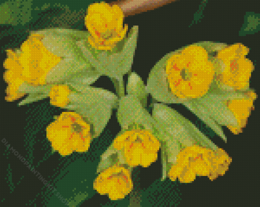 Cowslip Diamond Painting