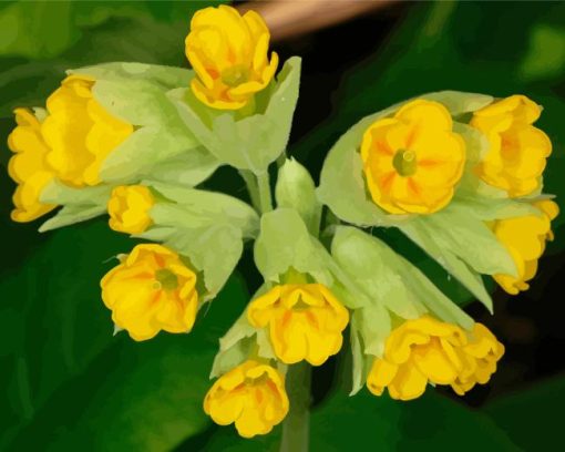 Cowslip Diamond Painting