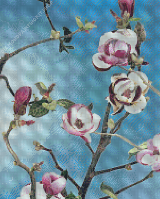 Cressida Campbell Magnolia Diamond Painting