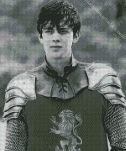 Edmund Pevensie Character Diamond Painting