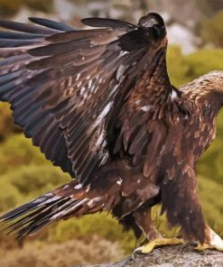 Golden Eagle Bird Diamond Painting