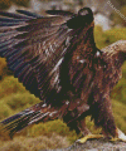 Golden Eagle Bird Diamond Painting