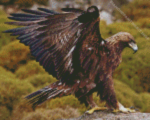 Golden Eagle Bird Diamond Painting