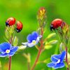 Ladybugs And Flowers Diamond Painting