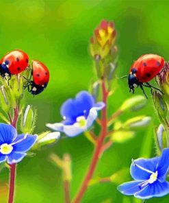 Ladybugs And Flowers Diamond Painting