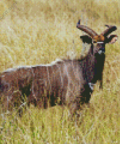 Nyala Diamond Painting