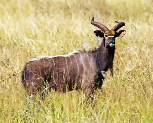 Nyala Diamond Painting