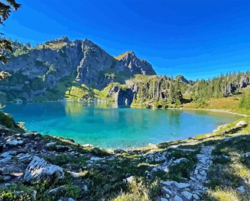 Olympic National Park Diamond Painting