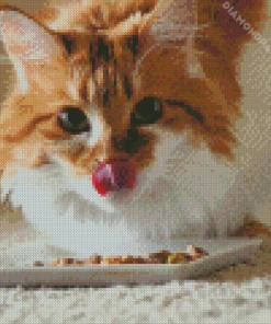 Orange Fat Cat Eating Diamond Painting