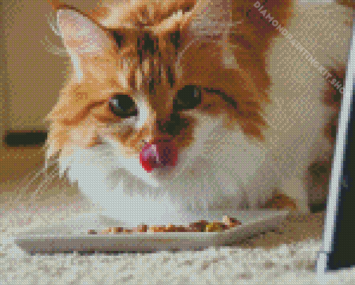 Orange Fat Cat Eating Diamond Painting