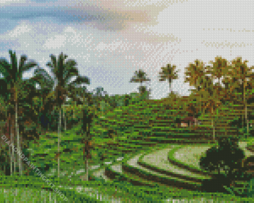 Palm Trees in Rice Fields Diamond Painting