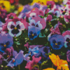 Pansy Flower Diamond Painting