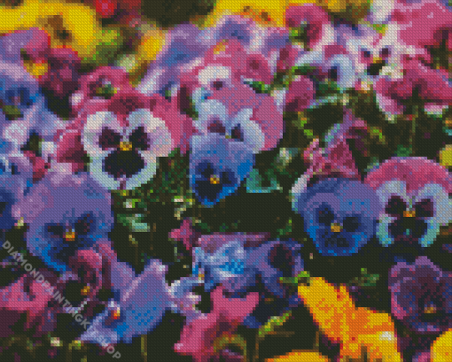 Pansy Flower Diamond Painting