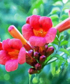 Pink Trumpet Vine Flowers Diamond Painting