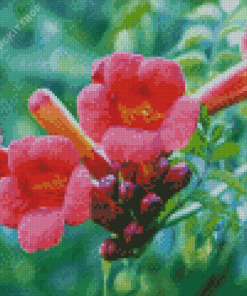 Pink Trumpet Vine Flowers Diamond Painting