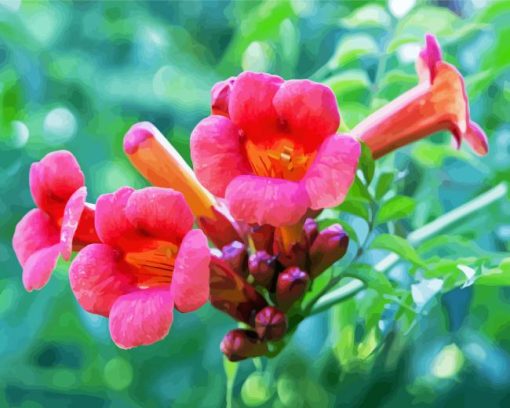 Pink Trumpet Vine Flowers Diamond Painting