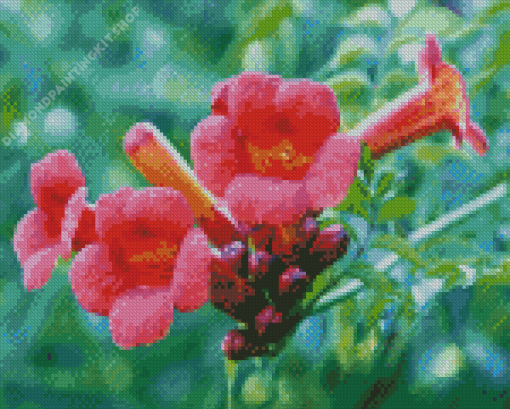 Pink Trumpet Vine Flowers Diamond Painting