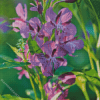 Purple Fireweed Diamond Painting