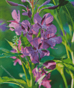 Purple Fireweed Diamond Painting