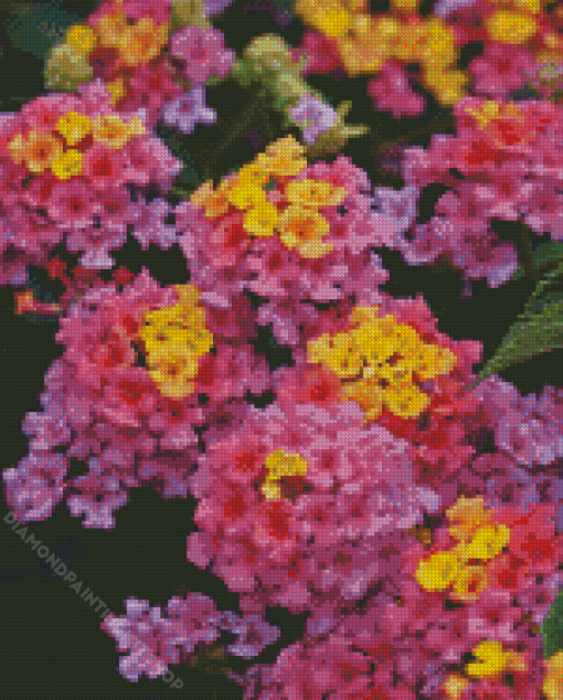 Purple Lantana Flowers Diamond Painting