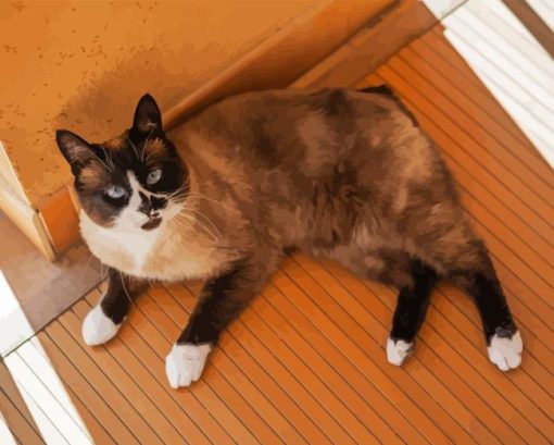Snowshoe Cat Diamond Painting