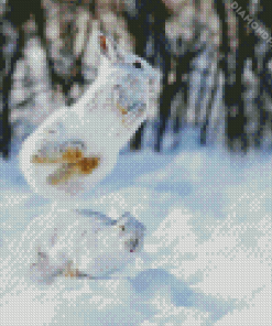 Snowshoe Hare Diamond Painting