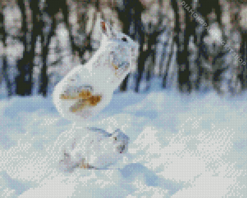 Snowshoe Hare Diamond Painting