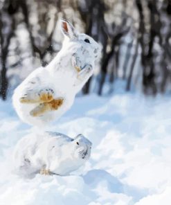 Snowshoe Hare Diamond Painting